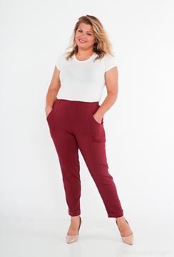 Picture of CURVY GIRL STRETCH TROUSERS